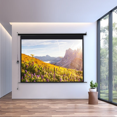 Inbox Zero Outdoor Electric Projector Screen Projector Screen