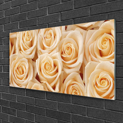Floral Roses 1 Piece Wall Art on Glass