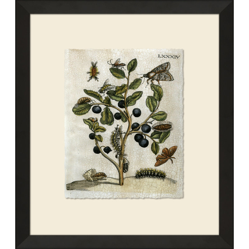 Crackled Insect Collection 3 Painting