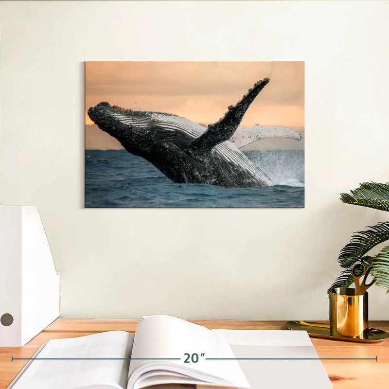 Brampt Humpback Whale Toss, 8" H x 12" W
