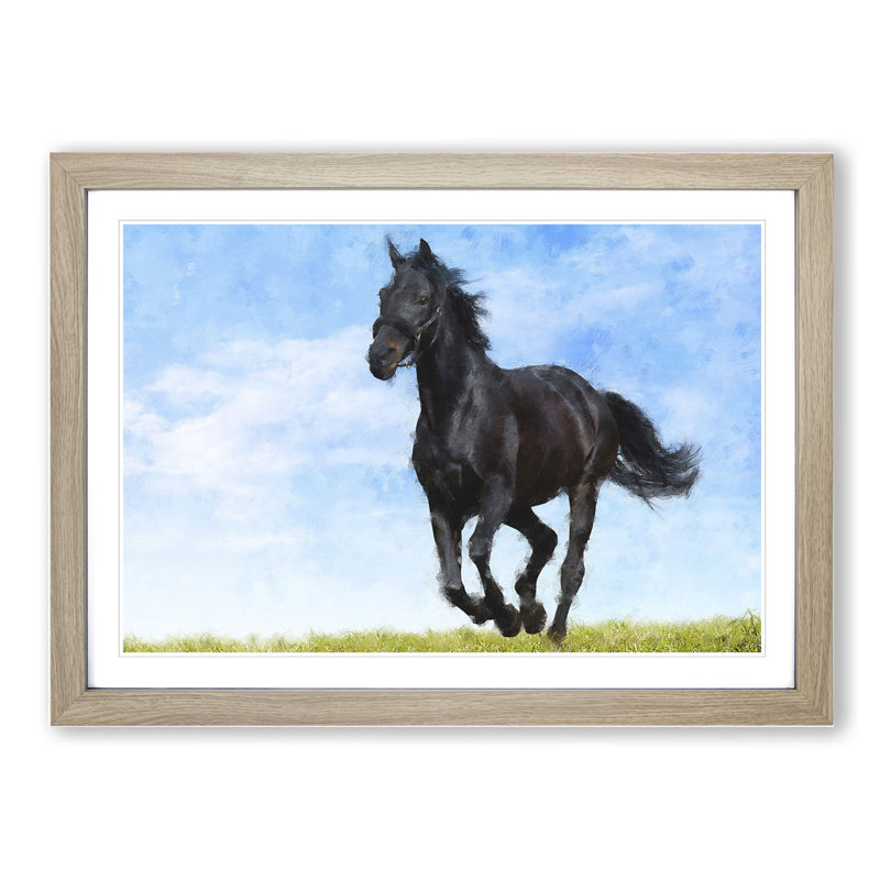 Black Horse - Picture Frame Painting, 48cm H x 65cm W x 2cm D, Oak Framed