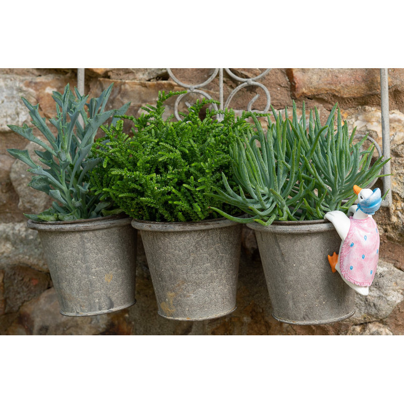Cintre Beatrix Potter Mr Jeremy Fisher