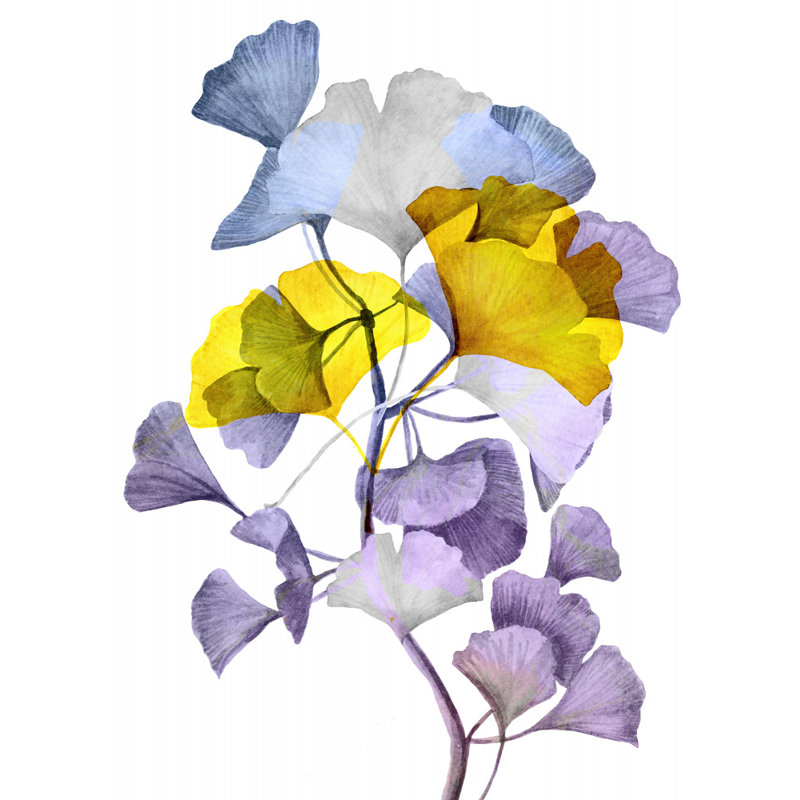 Wrapped Canvas Print, 50.8cm H x 76.2cm W