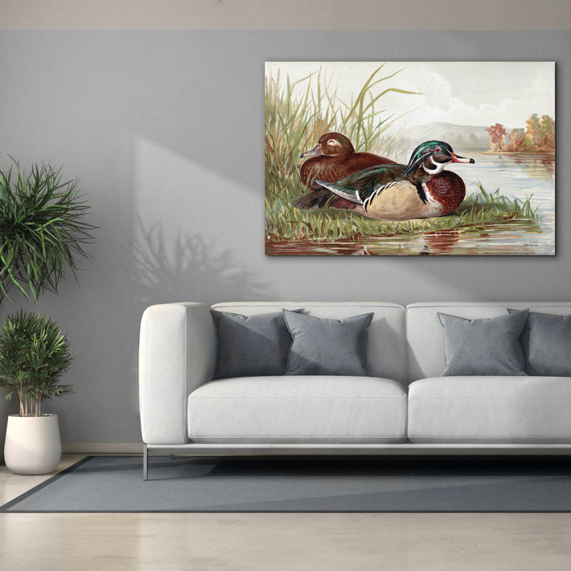 «Resting Duck 2» par Stellar Design Studio, art mural sur toile, 60 po x 40 po