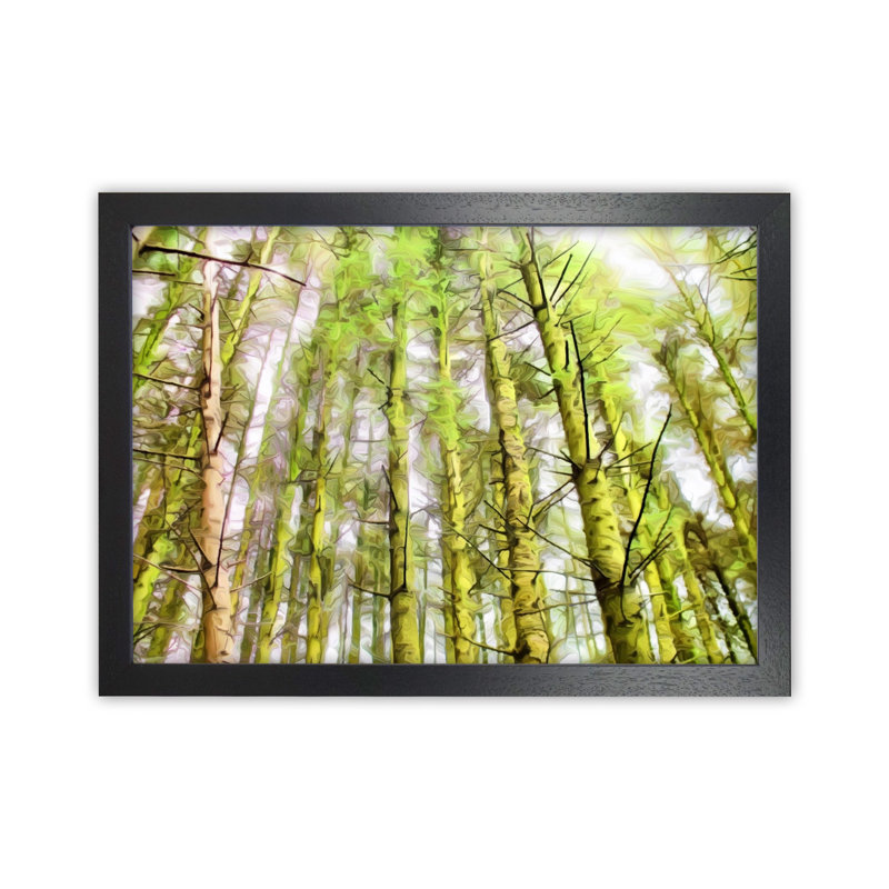 Woodland - Print on Canvas, Black Framed, 64cm H x 88cm W x 3cm D