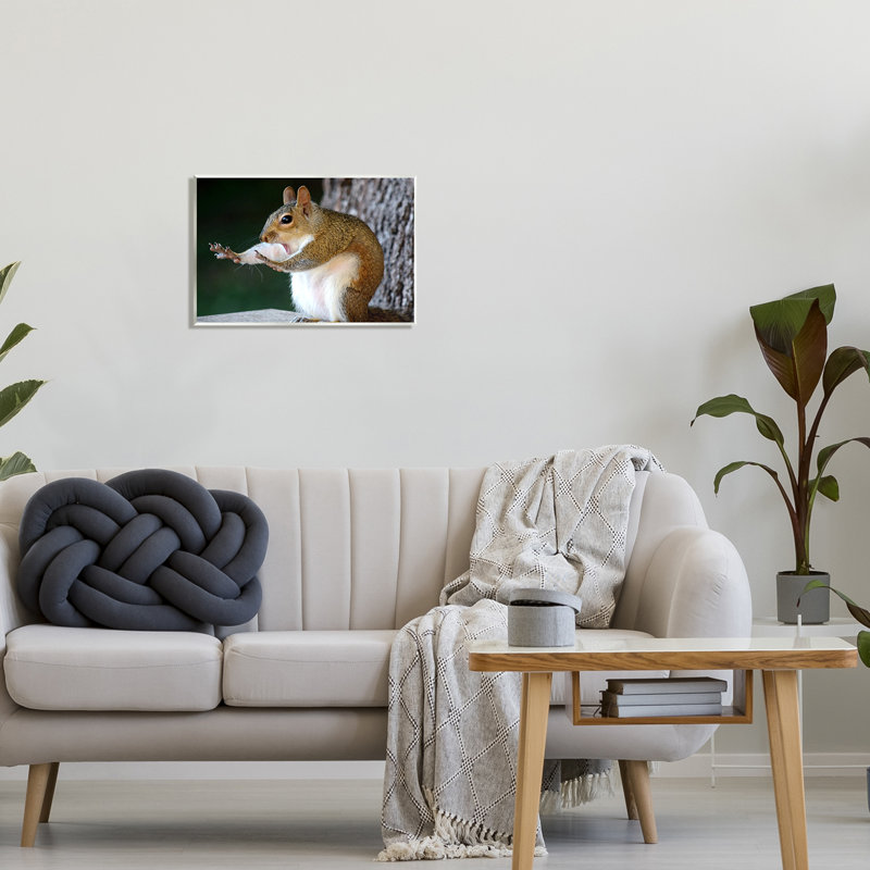 «Funny Shocked Pose Squirrel On MDF» par Mary McGowan, reproduction, H 13 po x l 19 po x P 0,5 po