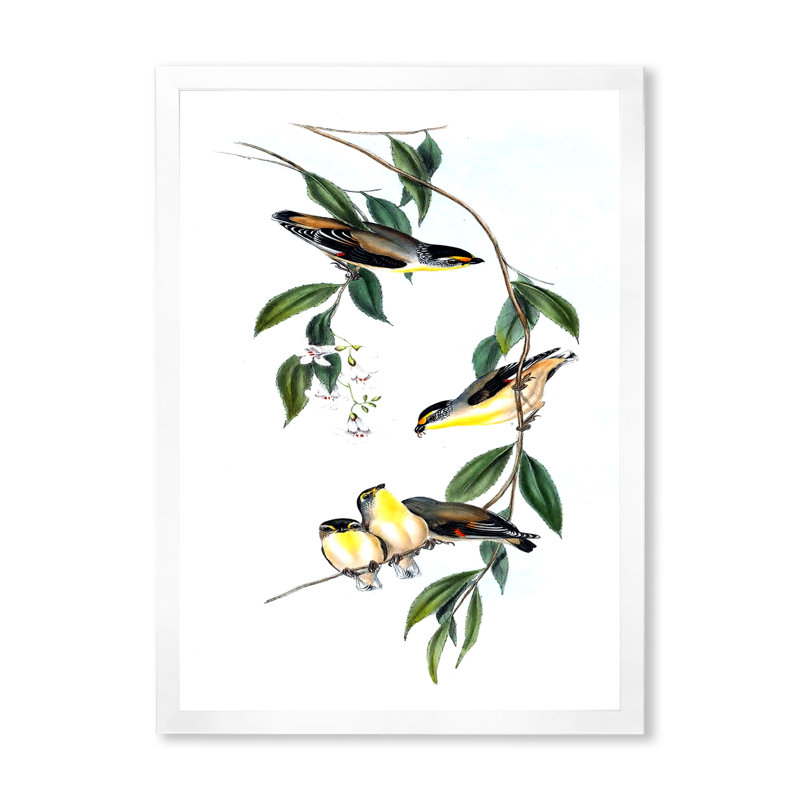 Oiseau rétro III - peinture sur toile, H 40 po x l 30 po x 1,5 po, Cadre photo blanc