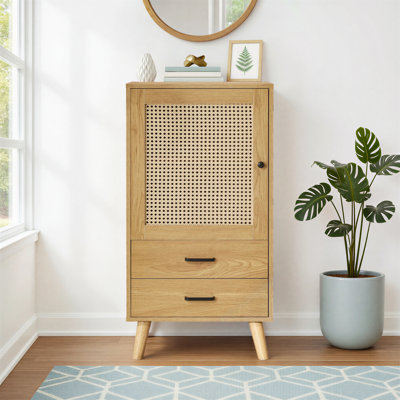 Birl 38.2" H Solid and Manufactured Wood 1-Door Accent Cabinet