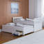 Marco Island Captain's Bed with Trundle Bed and Drawers-1025177824-1025177852