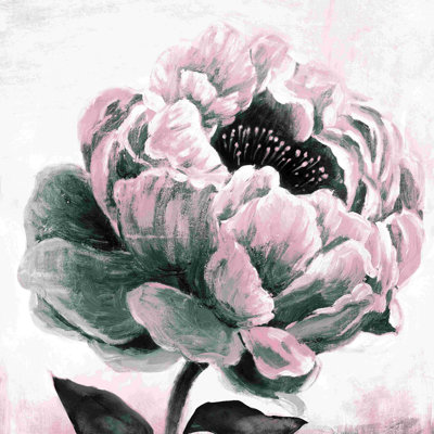 Peinture rose