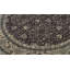 Wool Oriental Area Rug