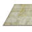 Oriental Indoor Rug-1586448903