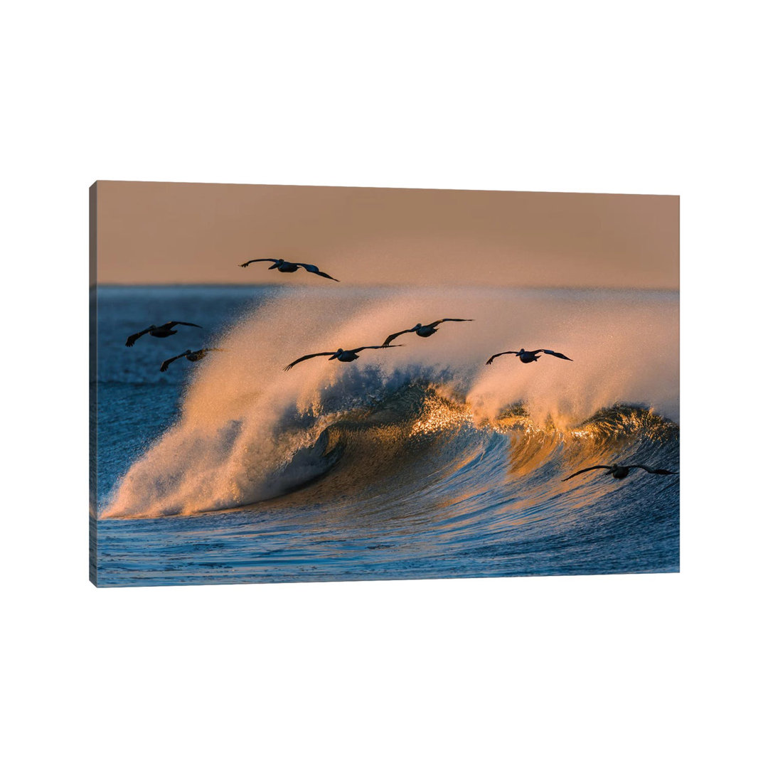 Pelican Flock And Wave