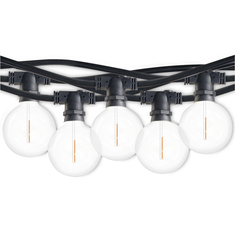 Outdoor 10 - Bulb 168'' Plug-in String Light