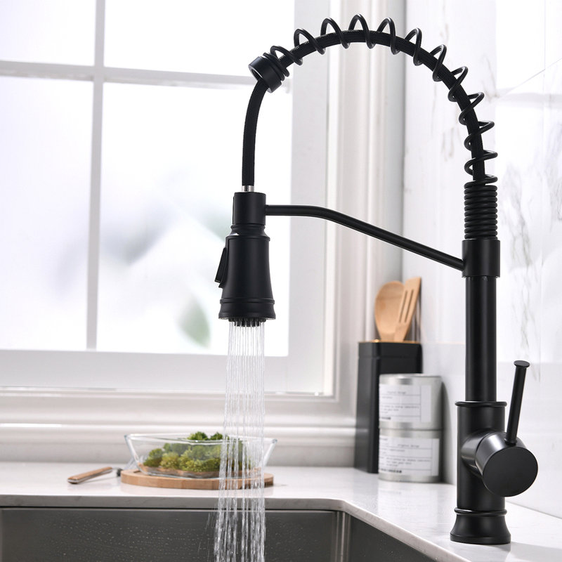 Robinet de cuisine avec douchette extractible et robinets d'évier de cuisine à poignée simple en acier inoxydable noir