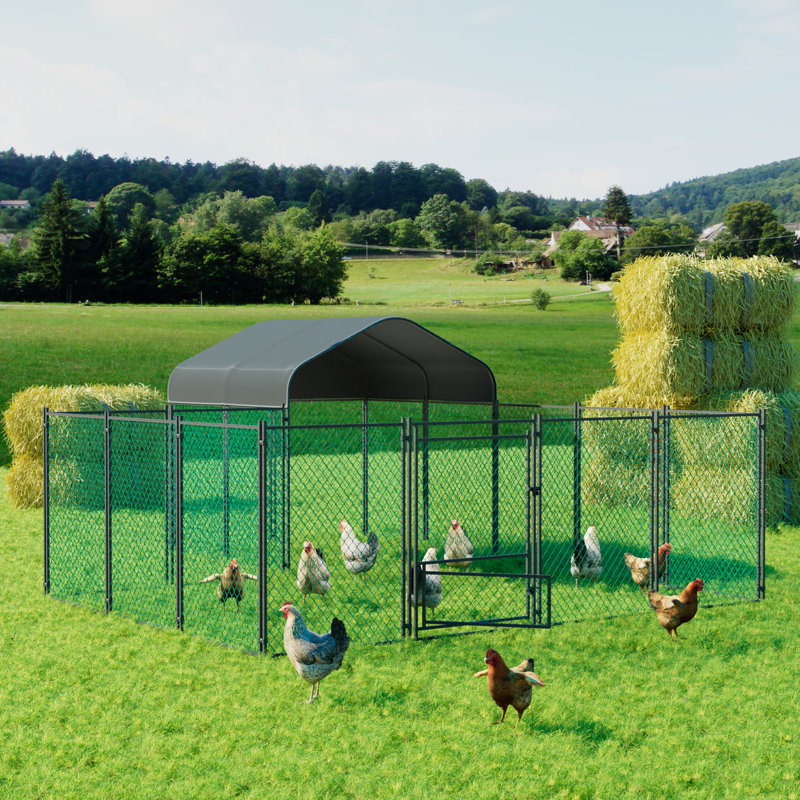 10 pieds carrés avec poulailler Dovidio