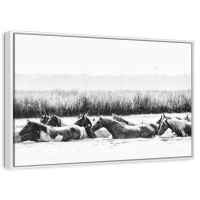 Water Horses III