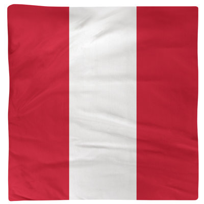 Serviette pour dîner de hockey Washington