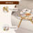 Round Coffee Table with Solid Wood Legs, Minimalist Tempered Glass Table-91436404