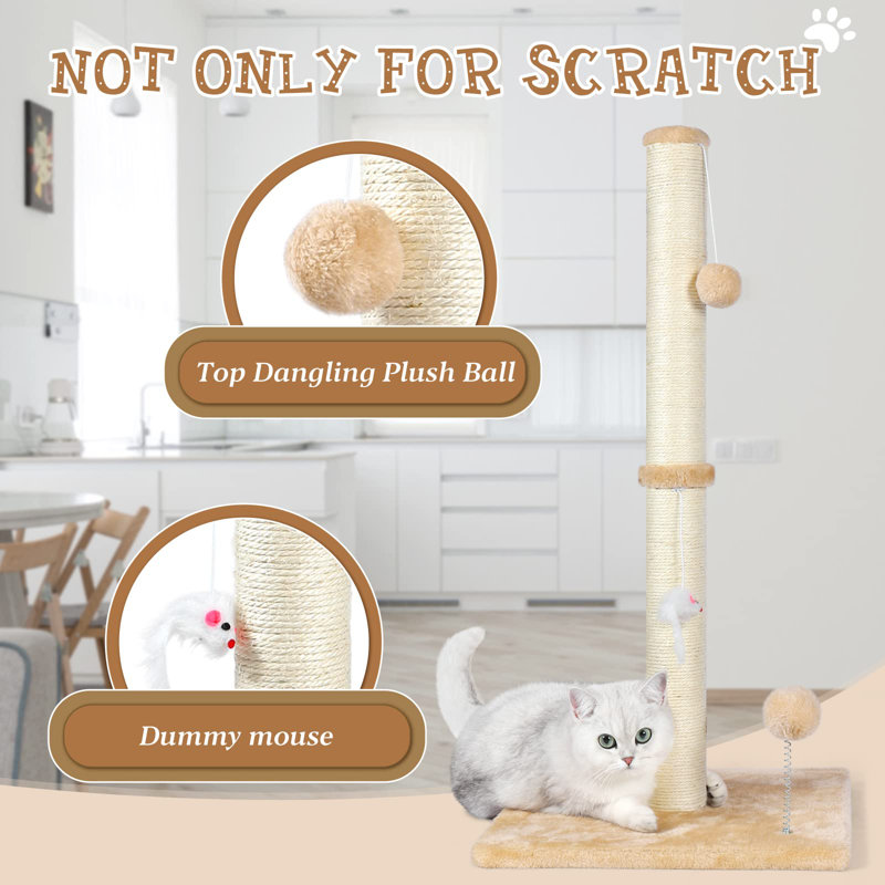 Scratching Post
