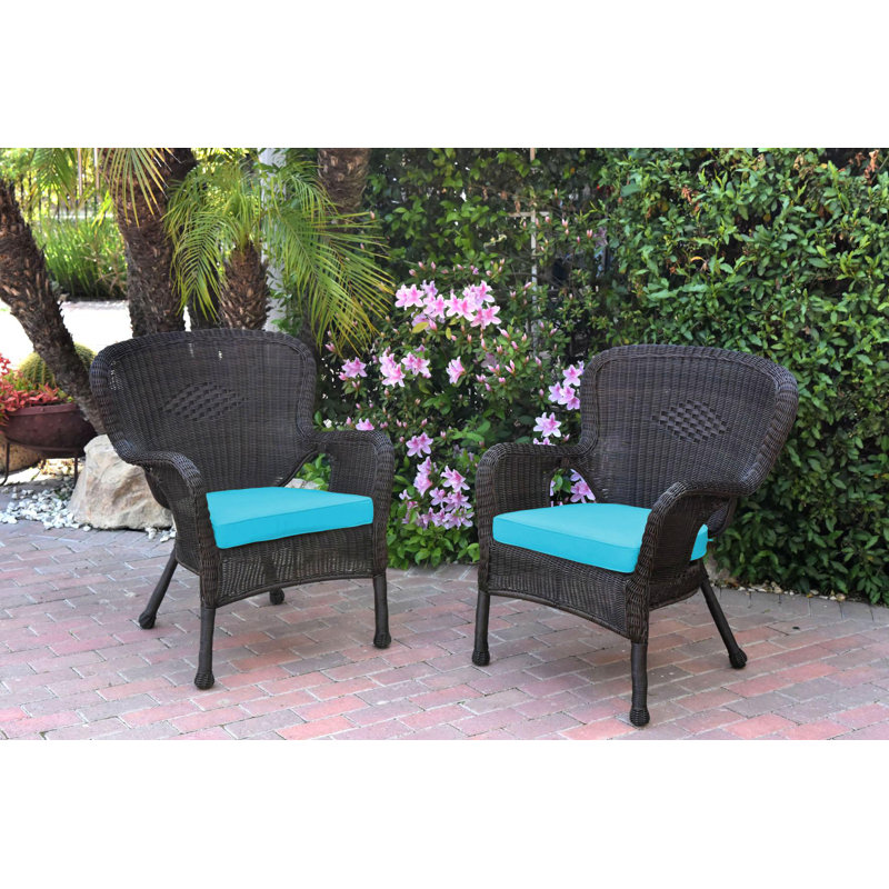 Batchelder Wicker Outdoor Lounge Chair, Sky Blue, Espresso