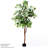 150cm Ficus Tree in Pot