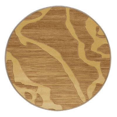 Machine Washable Abstract Brown Area Rug