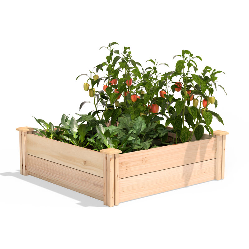 Lit de jardin surélevé en cèdre 3 pi x 3 pi Premium