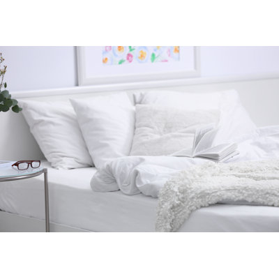 200 Thread Count Sheet Case Pack