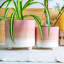 Ceramic Pot Planter-63880960