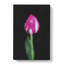 Petals Of A Purple Tulip - Wrapped Canvas-56667501