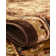 Niles Oriental Indoor Rug