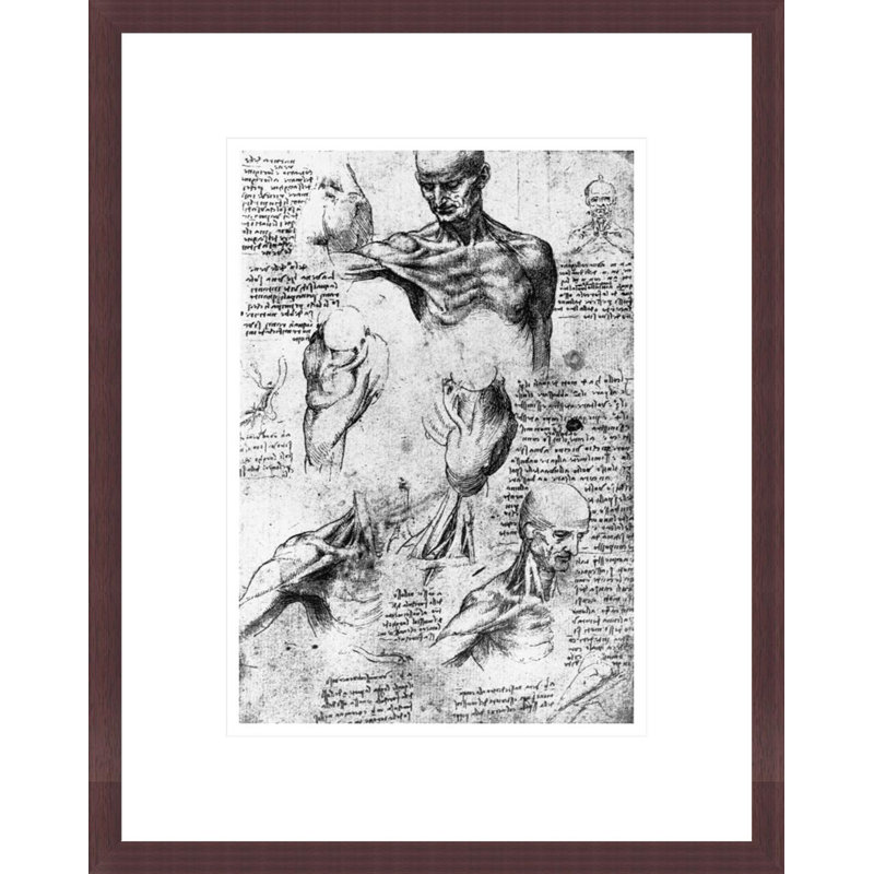 Drawing of anatomical studies by Leonardo da Vinci -Framed Giclee Print, H 16,75 po x l 13,33 po