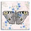 Art mural en verre Moth-1071480007