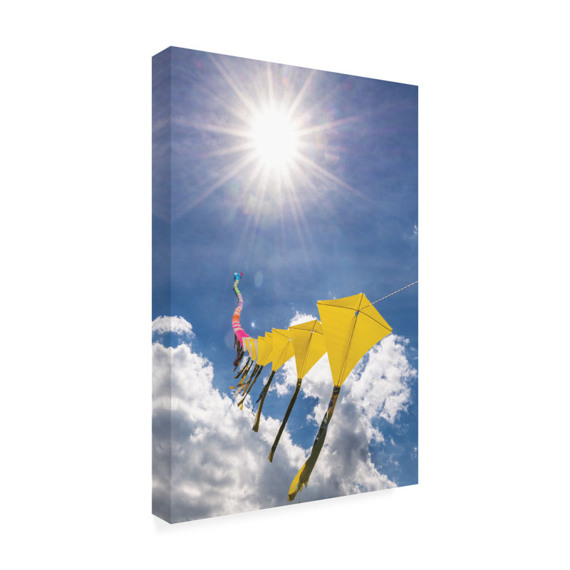 Art sur toile, rouleau de Kites, H 19 po x l 12 po