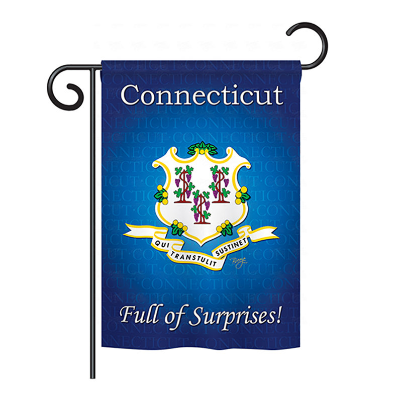 Double Sided Polyester House Flag, 18.5" H x 13" W, Connecticut