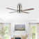 Theo 52'' Ceiling Fan with LED Lights