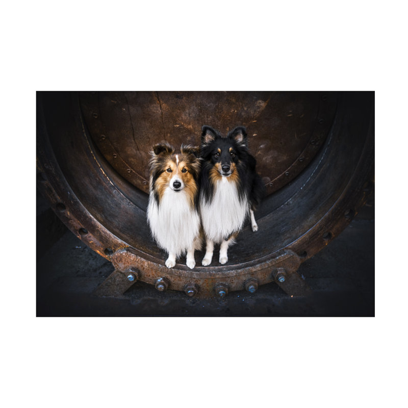 «Natalie Grosse Dog Duo», art sur toile, H 12 po x l 19 po