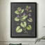 Illustration moderne à base de plantes abstraites: Glechoma hederacées avec fleurs mauves, style imprimé botanique. Toile encadrée 24 "x 36" avec cadre en bois noir