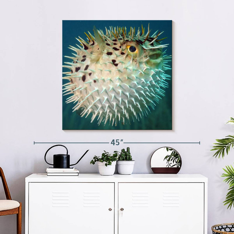 Brampt Puffer Fish, 30" H x 30" W