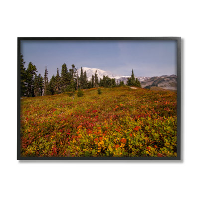 Stupell Industries Mountain Meadow Scenery Canvas Wall Art Design by Aaron Matheson