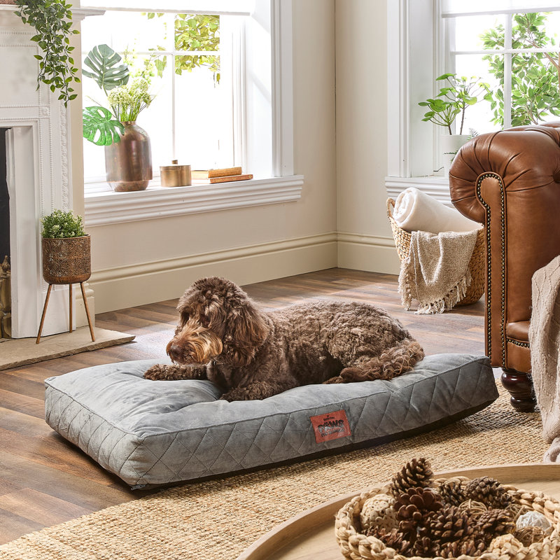 Slumberdown Paws for Slumber Raised Padded Dog Bed – Comfortable, Supportive & Durable Pet Bed for All Breeds