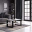 Shonae Coffee Table with Storage