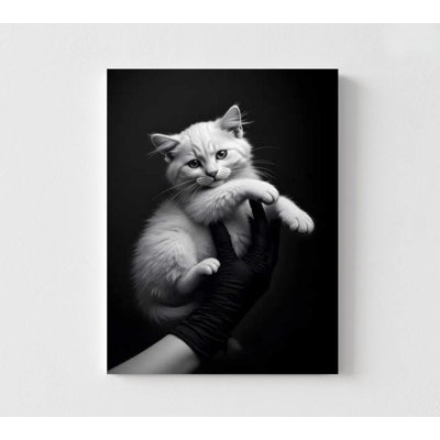 Chaton, art mural: noir et blanc minimaliste - Portrait d'un animal doux