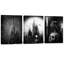3 Piece Wrapped Canvas Print-1274037418