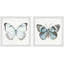 «Lovely Butterflies», ensemble de 2 reproductions d'art sur papier encadrées-1604505910