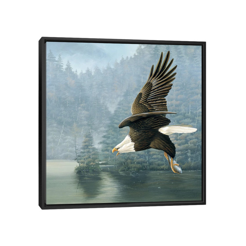 « flying eagle », impression sur toile, H 26 po x l 26 po x P 1,5 po, Toile avec cadre noir, Pas de tapis