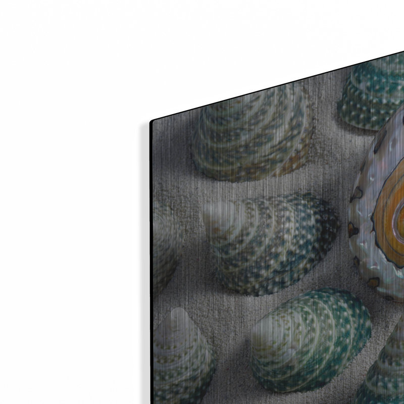 " Shell Spiral " by Dennis Frates, 16" H x 24" W
