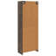 3 -Door 3 Storage Cabinet