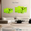 Ombre grenouille